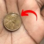 Lincoln Wheat Penny Valued at $1 Million