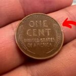 The Lincoln Wheat Penny Valued at $105K